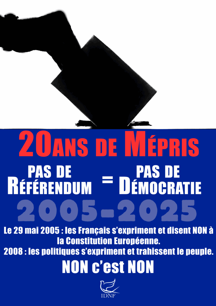 IDNF-29mai2025-vote-bleu-2-724x1024.png